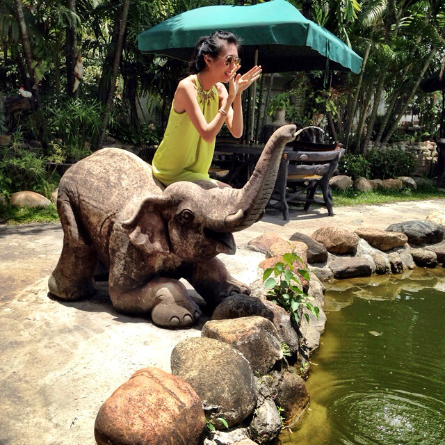 vicky elephant
