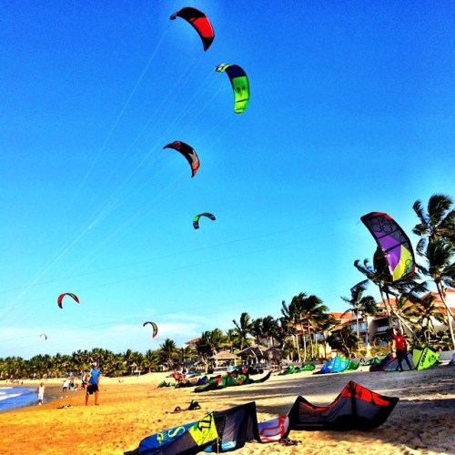 kites