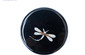 Dragonfly Seashell Coasters