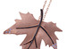 Alasehir Leaf Necklace