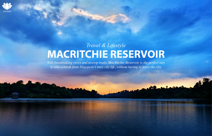 The MacRitchie Reservoir