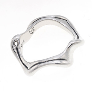 Silver Root Band