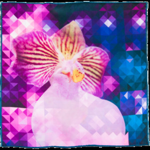 Abstract Orchid Silk Scarf
