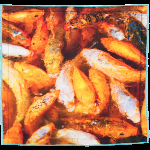 Digitally Printed Orange Fish Scarf